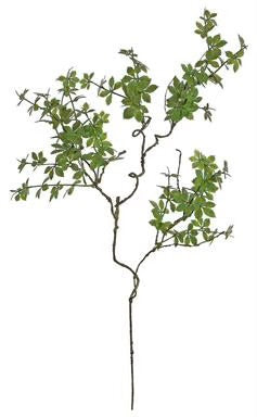 Star Leaf Vine Stem 35”