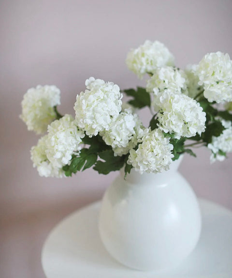 Snowball Hydrangea Stem