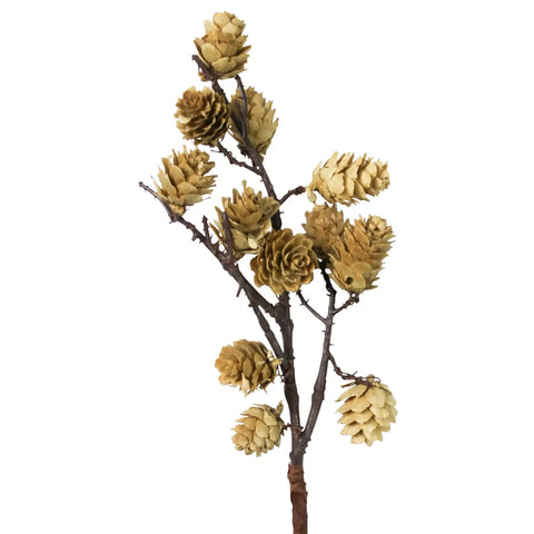 Mini Pinecone Stem