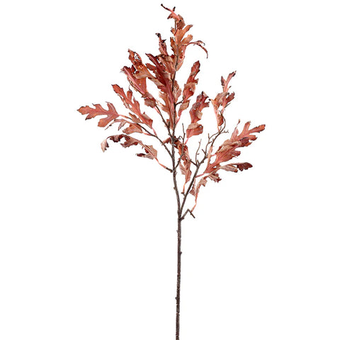 Dried Oak Leaf Stem 31”