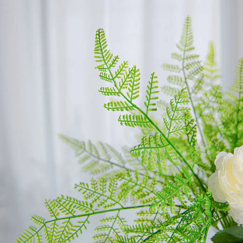 Asparagus Fern Spray, Green