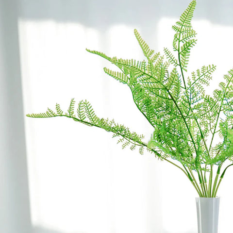 Asparagus Fern Spray, Green