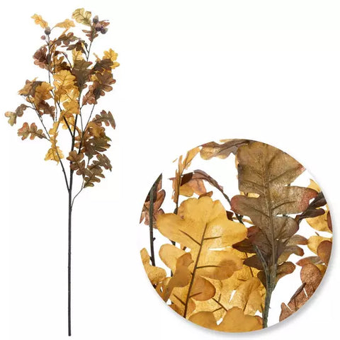 Oak & Acorn Branch