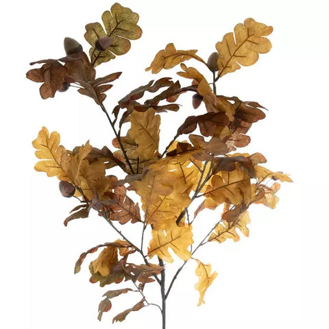 Oak & Acorn Branch