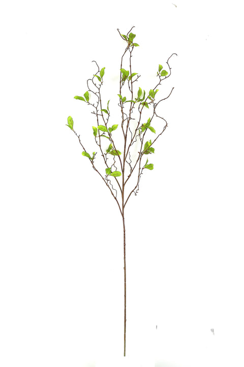 Willow Branch With Leaves 54”