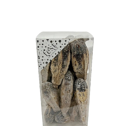 Dried Natural Botanicals Box - Whitewashed