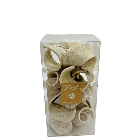 Dried Natural Plant Botanicals Box - White Bleached