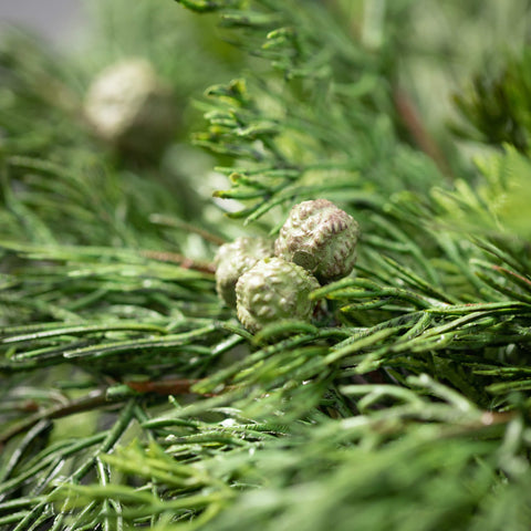 Cypress & Berry Wreath