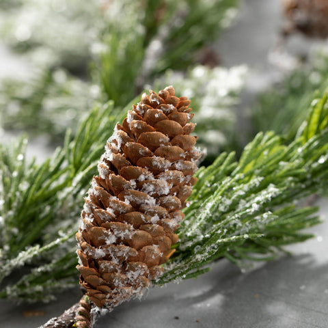 Frosted Pine & Pinecone Garland