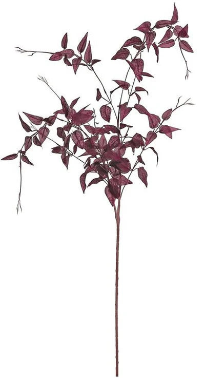 Trailing Clematis Stem 46” Plum