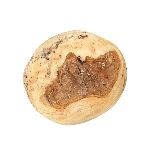 Small Fir Root Orb